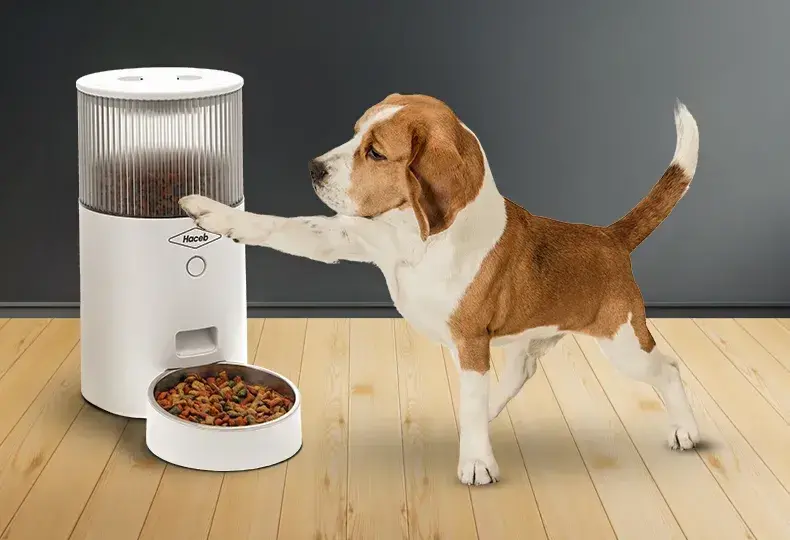 Dispensador automático de comida para mascotas
